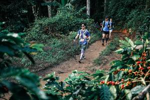 BIB: 
                            <button type="button" onclick="openModal(25836293)" class="btn btn-primary btn-sm float-right btn-popup" data-toggle="modal" data-target=".modal-high-quality">
                        <i class="fas fa-shopping-cart"></i> Add to Cart
                    </button>
                                            <button type="button" onclick="isThisMe(25836293, true)" class="btn btn-success btn-sm float-right btn-popup btn-isme hidden" data-toggle="tooltip" data-placement="bottom" title="นี่คือรูปของคุณใช่ไหม คลิกที่นี่เพื่อเอาเข้าอัลบั้ม">
                        <i class="fas fa-plus"></i> Add to album
                    </button>
                    <button type="button" onclick="isThisMe(25836293, false)" class="btn btn-warning btn-sm float-right btn-popup btn-isnotme hidden">
                        <i class="fas fa-ban"></i> Remove from album
                    </button>